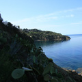 Spiaggia di Morcone Isola d'Elba
